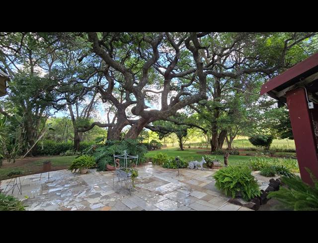 21.40HA FARM FOR SALE IN MODIMOLLE RURAL